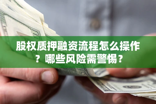 北京股权质押融资流程怎么操作？哪些风险需警惕？