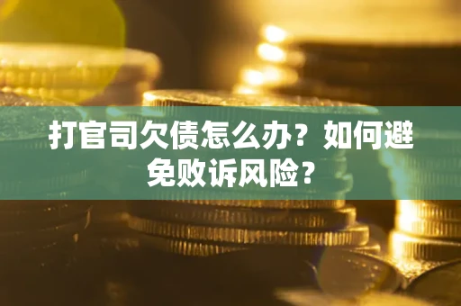 北京打官司欠债怎么办？如何避免败诉风险？