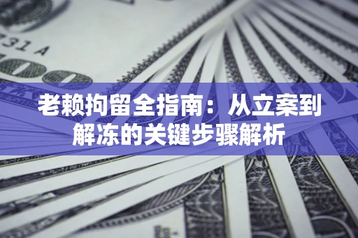 北京老赖拘留全指南：从立案到解冻的关键步骤解析