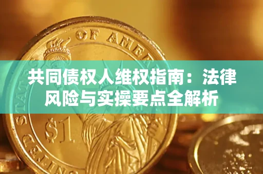 北京共同债权人维权指南：法律风险与实操要点全解析