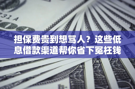 北京担保费贵到想骂人？这些低息借款渠道帮你省下冤枉钱