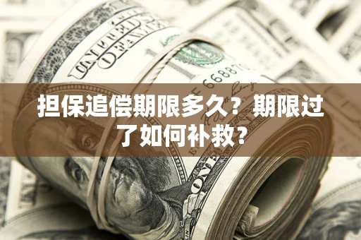 北京担保追偿期限多久？期限过了如何补救？