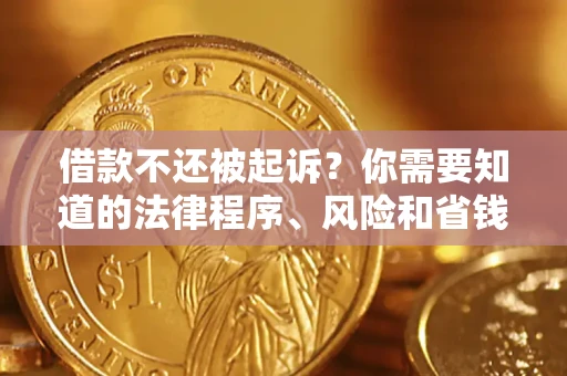 北京借款不还被起诉？你需要知道的法律程序、风险和省钱技巧