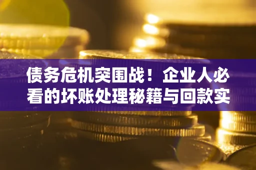 北京债务危机突围战！企业人必看的坏账处理秘籍与回款实战指南